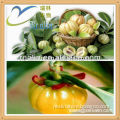 Garcinia cambogia extract capsules kosher halal for weight loss